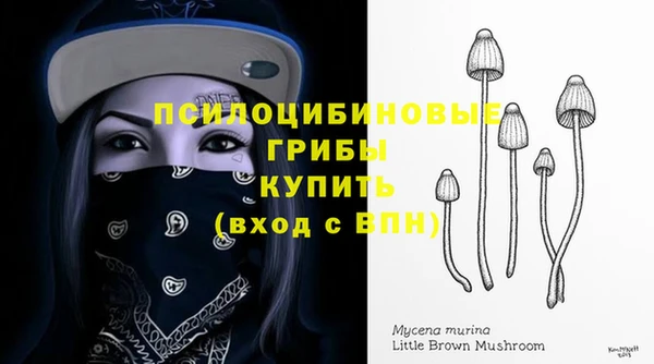 ПСИЛОЦИБИНОВЫЕ ГРИБЫ Апатиты