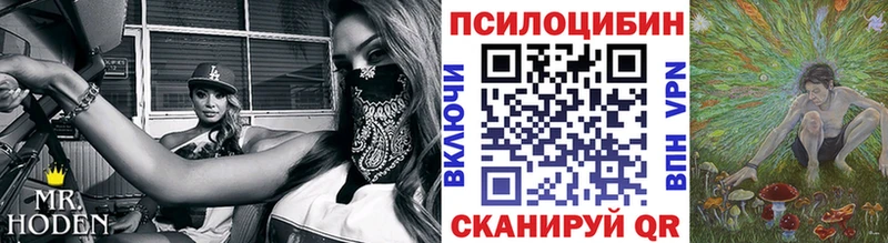 Псилоцибиновые грибы GOLDEN TEACHER  Боровичи 