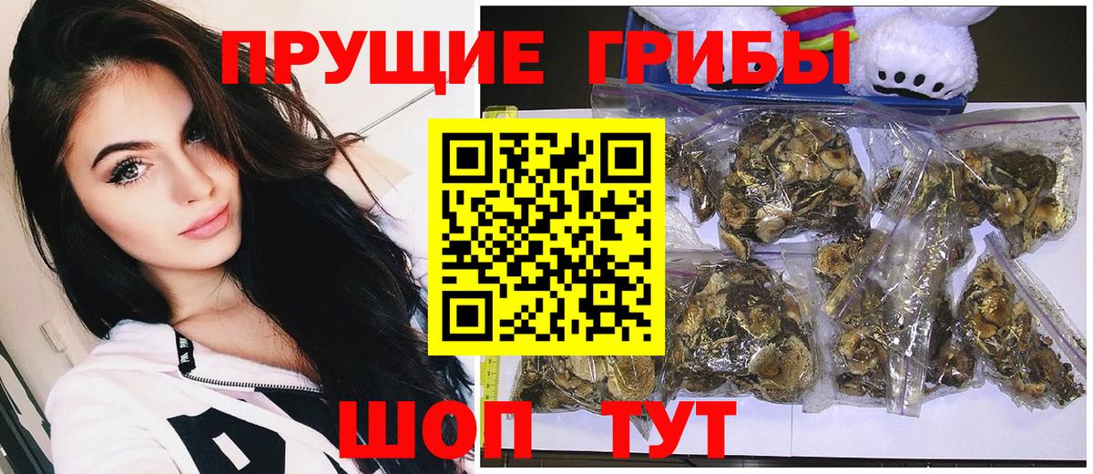 Боровичи  Псилоцибиновые грибы Magic Shrooms  Вход с VPN 