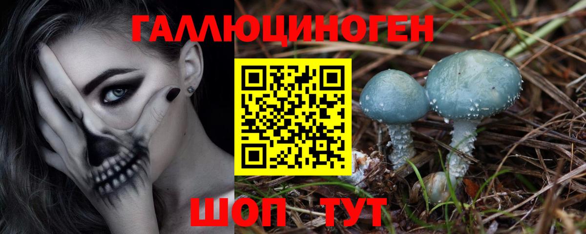 Галлюциногенные грибы GOLDEN TEACHER Боровичи