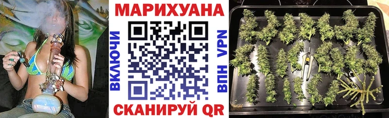 Канабис SATIVA & INDICA  Боровичи 